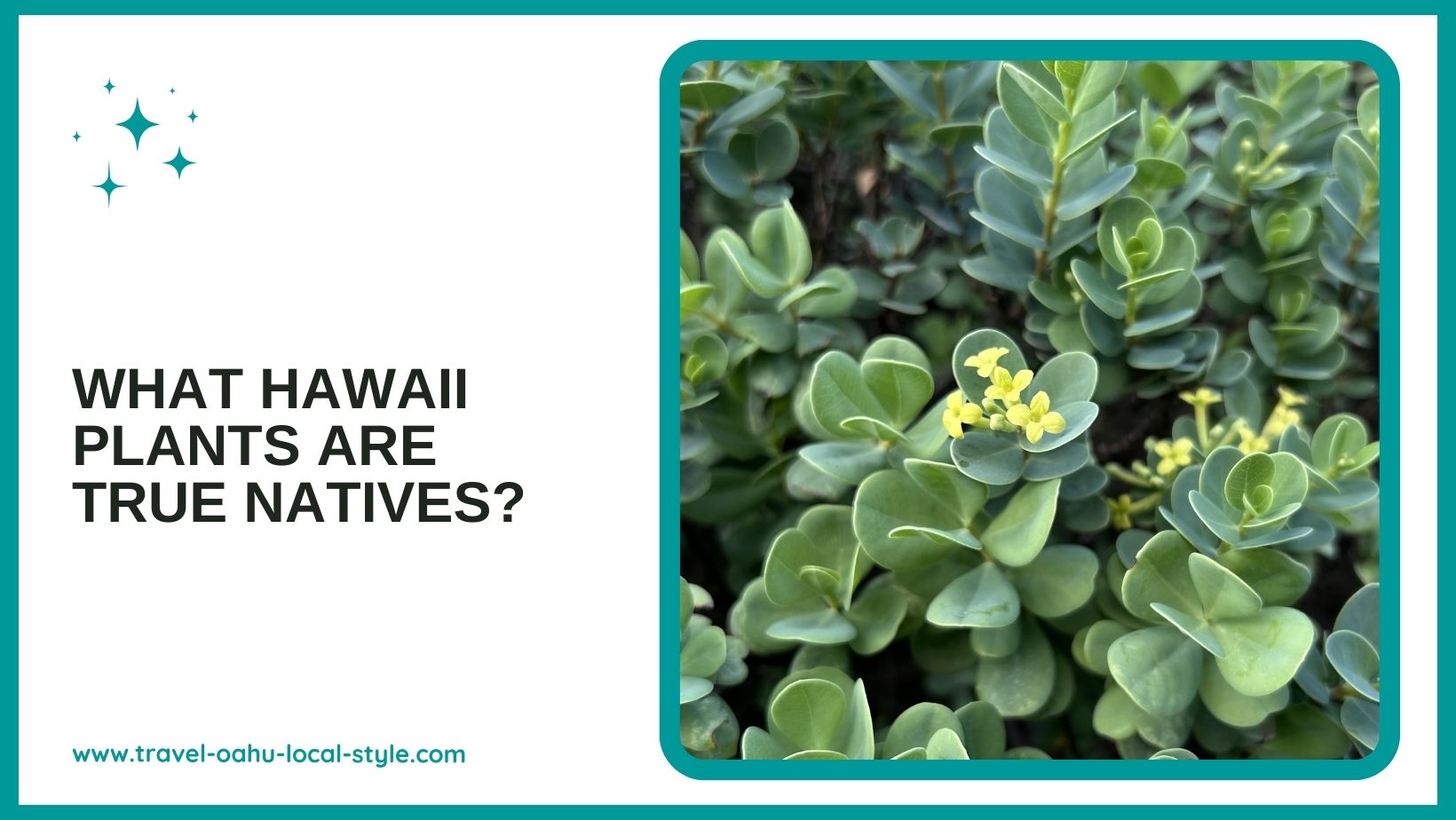 Hawaii Plants